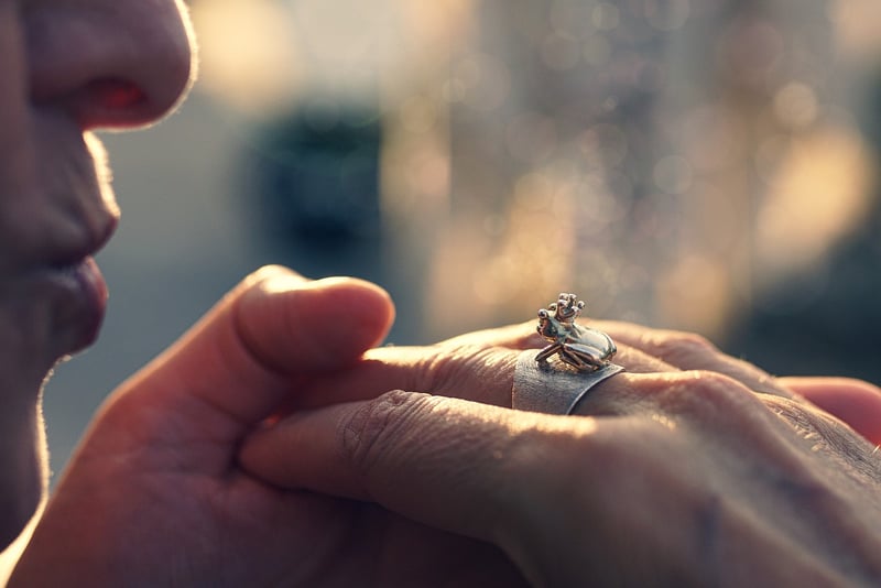 Fairy Tale Videography
